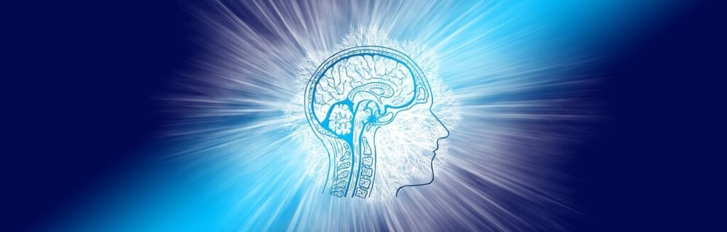 intelligence, brain, think-4234824.jpg